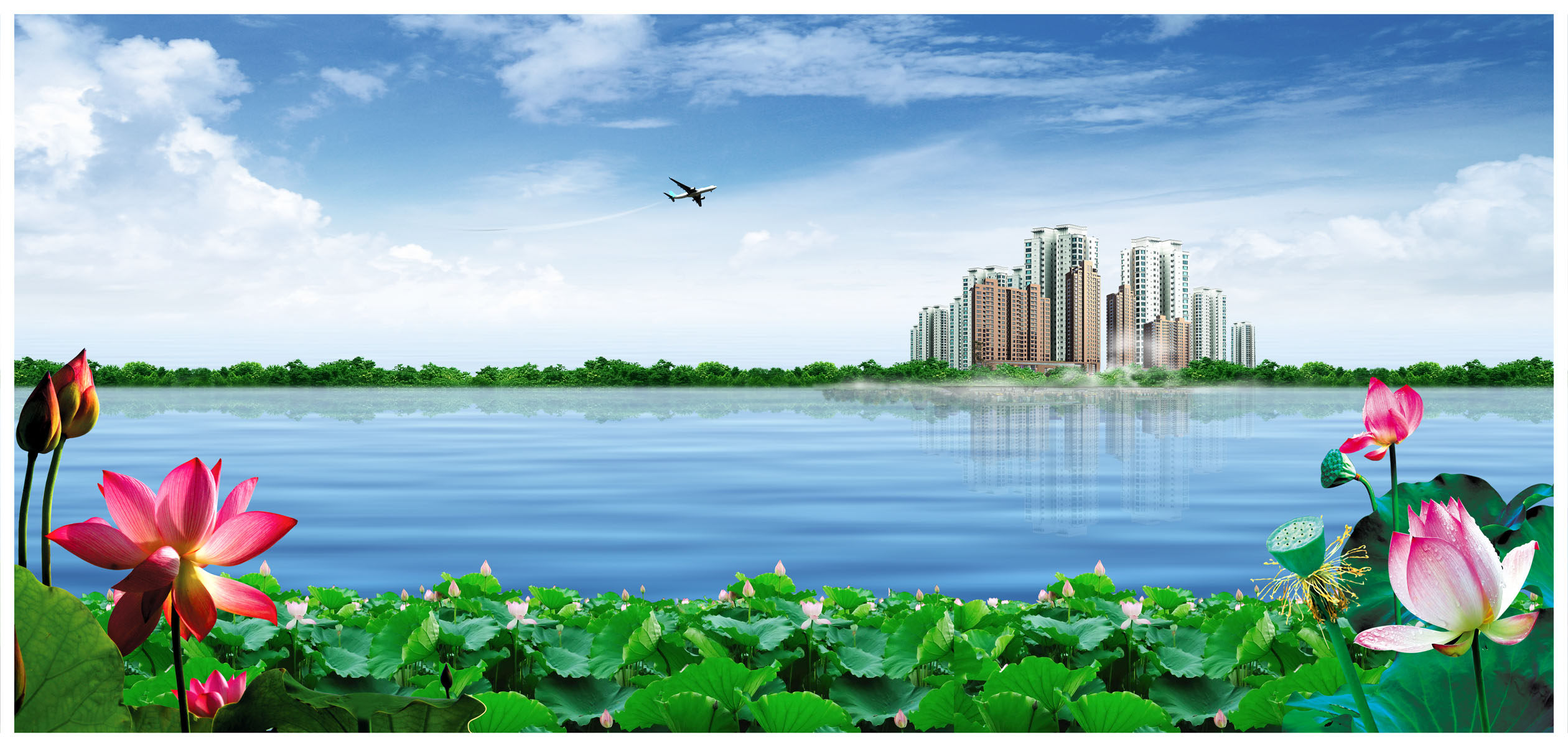 713海报印制展板写真喷绘贴纸961荷花湖边蓝天景色背景