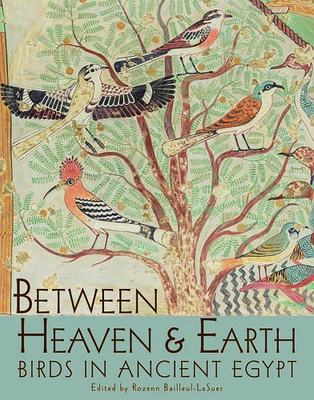 【预售】Between Heaven and Earth: Birds in Ancient Egypt