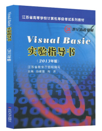 备战2020年3月 江苏省高等学校计算机等级考试 Visual Basic  二级 VB 实验指导书 2013年版  孙建国 海滨 苏州大学出版社