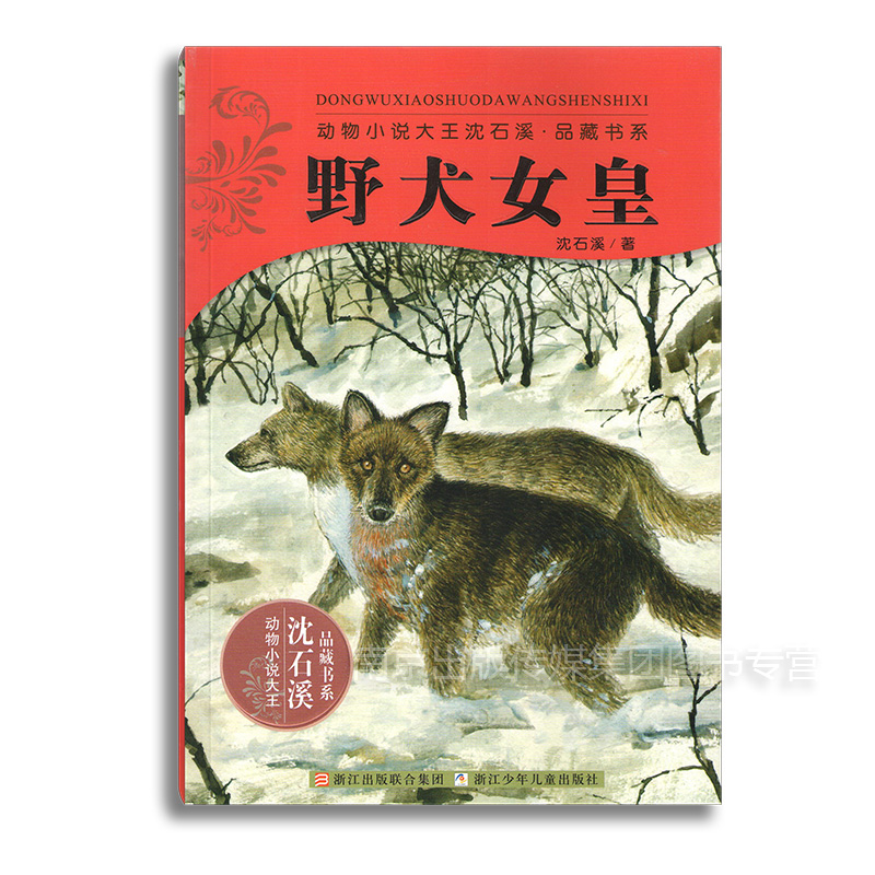 野犬女皇 沈石溪正版現貨包郵暢銷動物小說全套集系列全本品藏故事書榮獲兒童文學最 高獎中小學課外書籍名著浙江少兒出版社