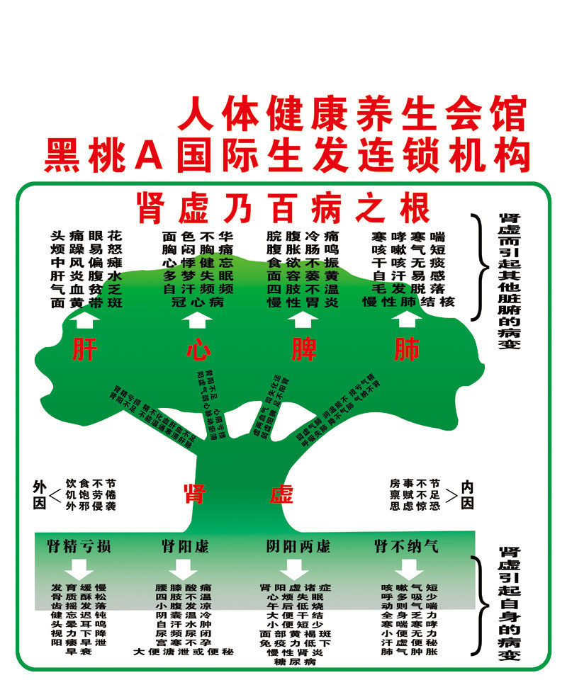 海报印制展板338素材49张仲景人体健康养生图