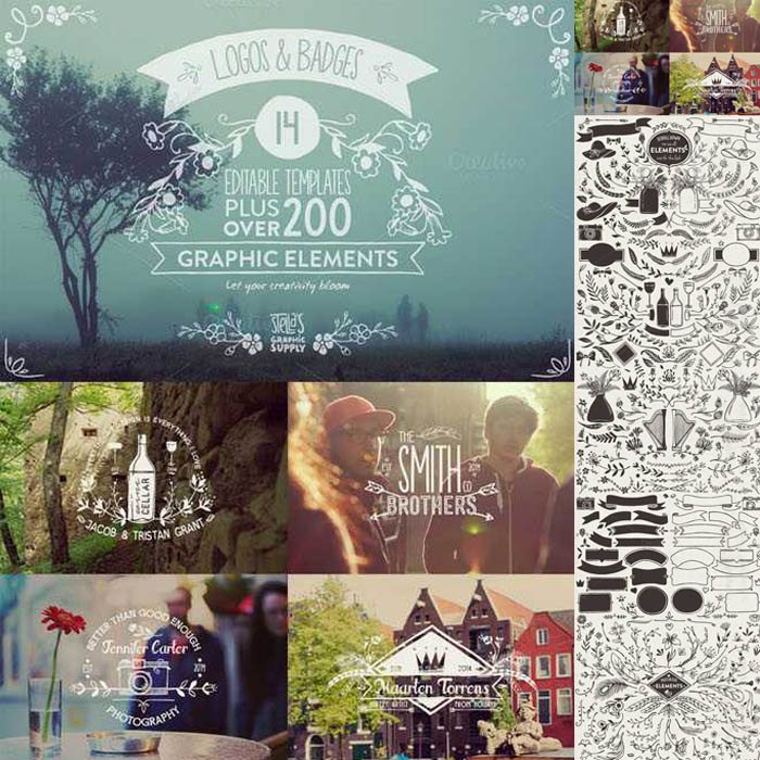 [344]手绘花边英文LOGO装饰元素花朵小草线稿 AI矢量设计素材