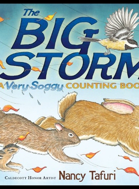 【预售】The Big Storm: A Very Soggy Counting Book