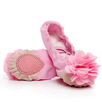 Детские танцующие туфли для раннего возраста, в цветочек