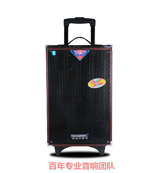 特美声a100大功率广场舞户外音响10寸拉杆移动便携蓝牙锂电音箱