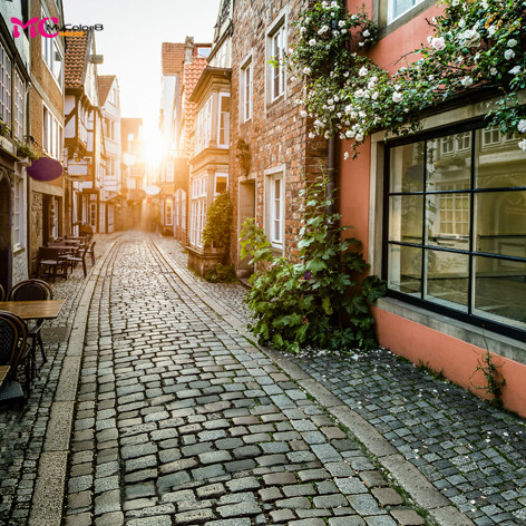 【是发QQ邮箱的一张JPG格式的图片】