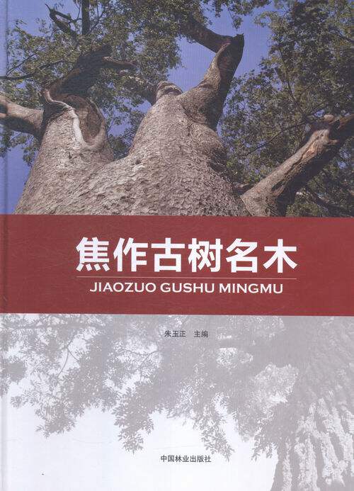 焦作古树名木 书店 朱玉正 林业书籍 畅销书