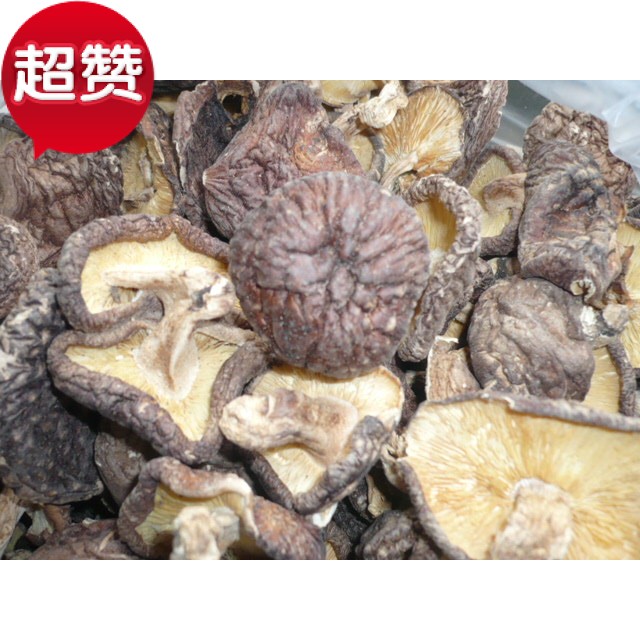 野生椴木香菇精品干货带脚树菇肉厚味香醇口感好自然生长500克