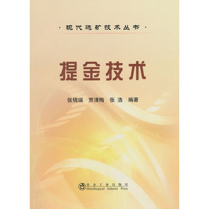 提金技术__现代选矿技术丛书