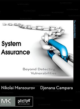 【预售】System Assurance: Beyond Detecting V...