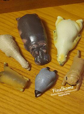 日单 催眠动物园 冬眠的河马 羊驼 北极熊 巴哥 手办公仔玩具摆件