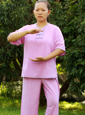 热卖女款低领雪纺中袖木兰太极服