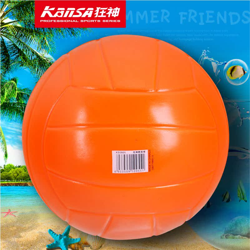 Ballon de volley - Ref 2016764 Image 1