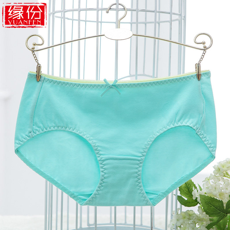 Slip jeunesse dt5008 en coton - Ref 645111 Image 1