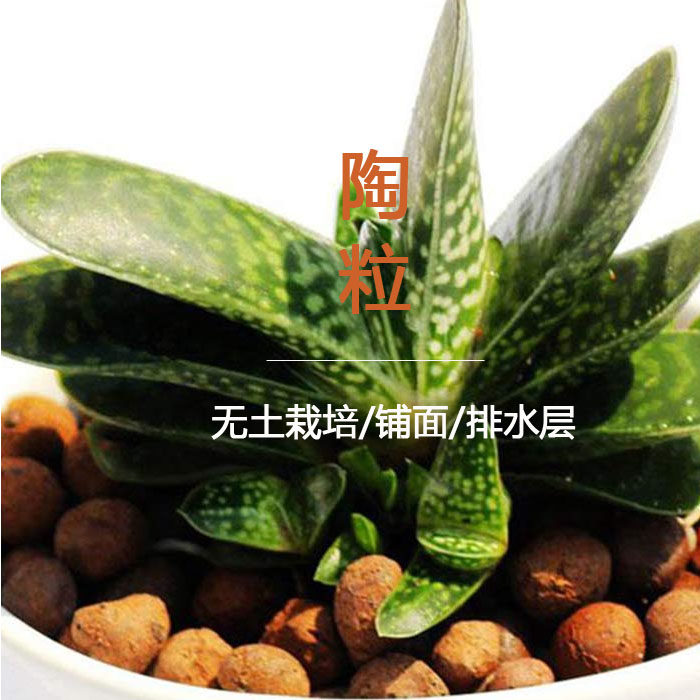 30免郵|優質球形花卉陶粒 無土栽培/鋪面/盆底鋪墊 500G包裝在類目 鮮花速遞/花卉仿真/綠植園藝, 園藝用品, 家庭園藝肥料/營養土/營養液中 - 來自Buy2taobao.com提供專業的淘寶代購服務