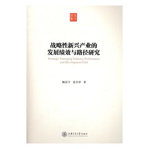 正版 战略性新兴产业的发展绩效与路径研究 杨震宇 书店 区域经济书籍 书 畅想畅销书