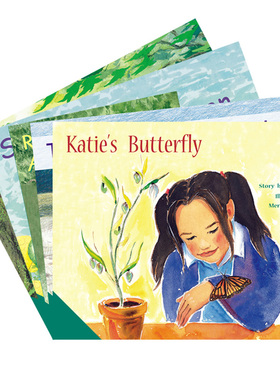 进口原版英文PM彩虹阅读系列PM READERS - GREEN, SET 14A FICTION READERS X 5绿色级别 Level 14A全5册6-8-12岁分级阅读启蒙英语