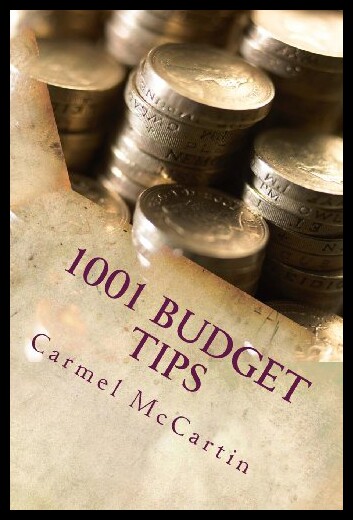 【预售】1001 Budget Tips