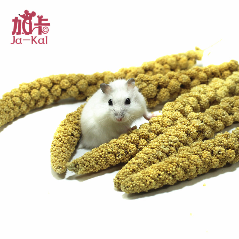 仓鼠零食谷穗 黄谷穗鹦鹉小鸟 带杆富含粗纤维逗鼠棒1根|ruв категории животное/Животное питание и принадлежностей, хомяк класса и других малых животное, корма/закуски - от Buy2taobao.com для оказания профессиональной услуги покупки агента Taobao