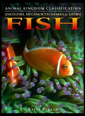 【预售】Angelfish, Megamouth Sharks & Other Fish