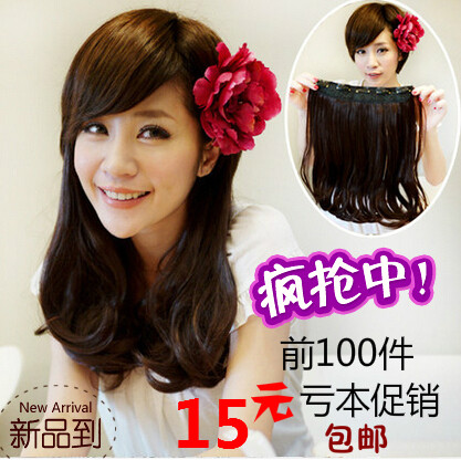 Extension cheveux - Ref 225929 Image 1