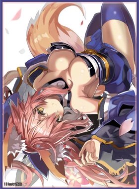 【蓝海卡牌】Fate FGO 玉藻前 玉藻猫 C狐2017冬季会场限定卡套