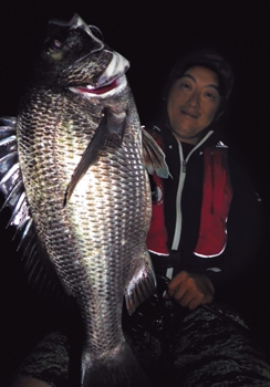 Daiwa 达瓦 INFEET CN 75L 76ML 77M 近海轻型直柄钓竿 14年产品