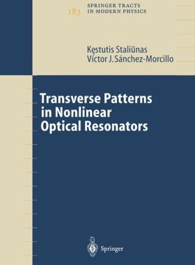 【预订】Transverse Patterns in Nonlinear Opt...