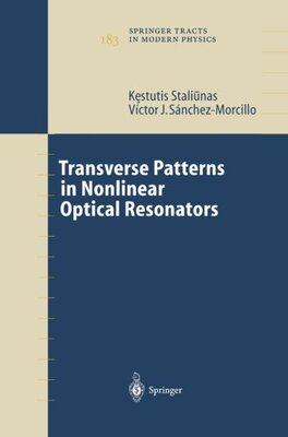 【预订】Transverse Patterns in Nonlinear Opt...