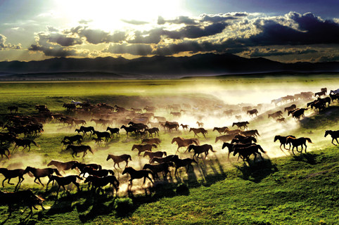 风景海报草原草地内蒙牛羊风光自然风景画家居装饰画贴画j6413c