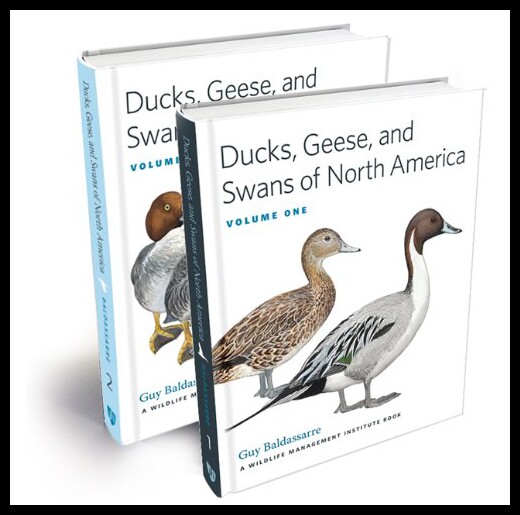 【预售】Ducks, Geese, and Swans of North America