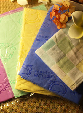 TEEMO·窝 蜜袋·飞鼠·貂·松鼠【超吸水·鹿皮巾】洗澡