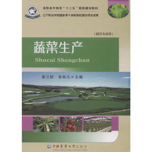 蔬菜生产