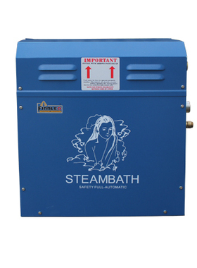 YCS烤漆蒸汽机/蒸汽炉设备/湿蒸炉 SHWO  4-21KW