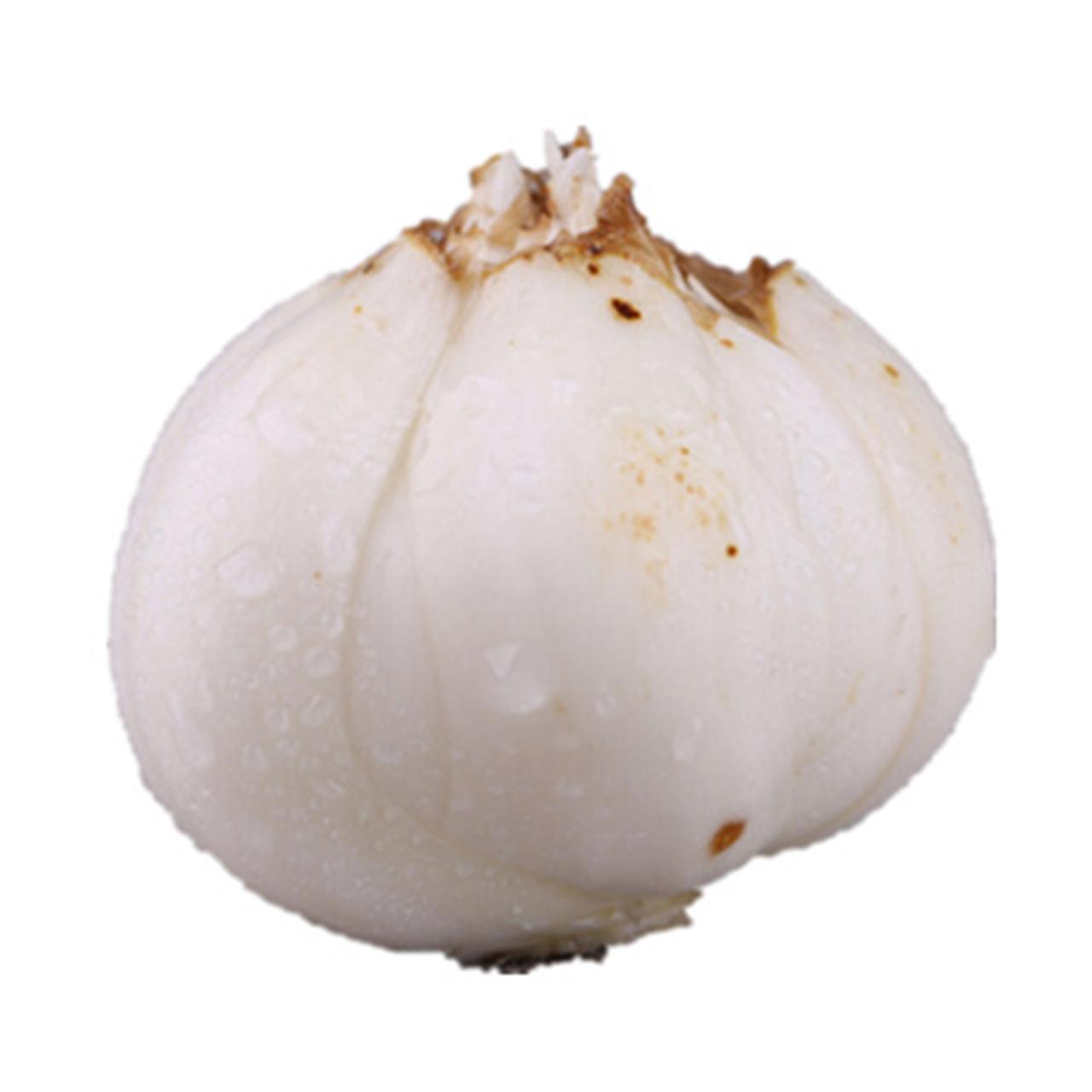 ÐÂÏÊÇÀ¹º