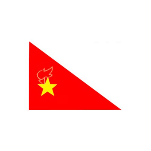 批发少先队队旗 小队旗旗帜学生旗帜流动红旗旗旗子