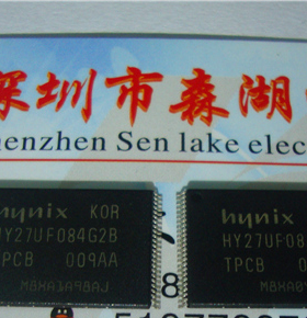 HY27UF084G2B-TPCB 512MB TSOP-48 HYNIX 原装正品供应