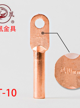 正品凤凰 酸洗堵油铜接头 DT-10MM2  铜鼻子 线耳 端 B级  一只价
