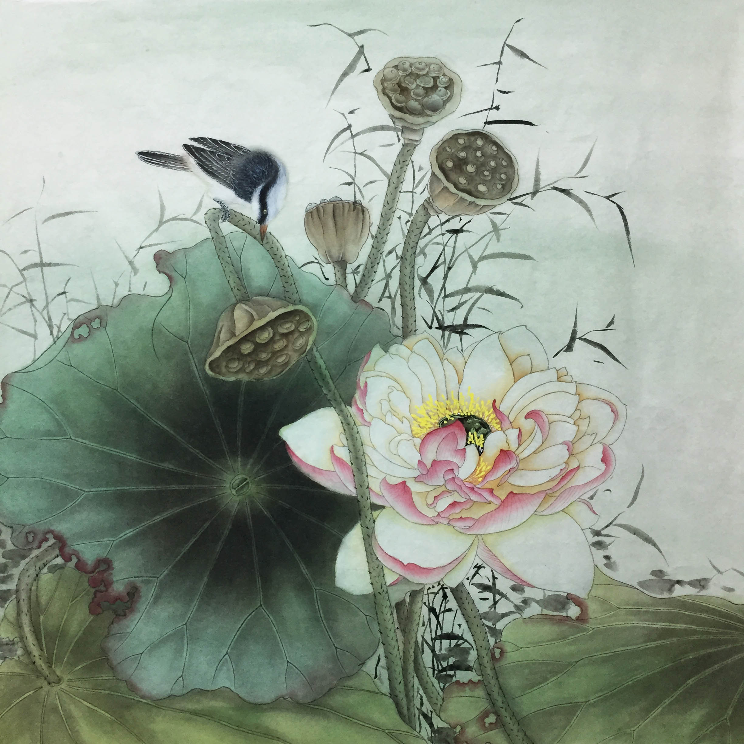 纯手工国画四尺斗方工笔荷花花鸟小鸟原稿无款真迹手绘装饰画