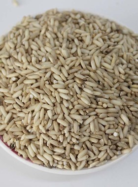 糙糯米广东客家特产新 糯糙米晚冬造酿酒甜月子酒农家杂粮5斤装