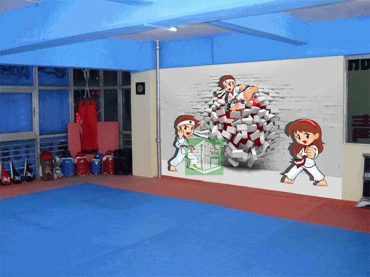 武术跆拳道主题大型壁画跆拳道馆壁纸健身房墙纸体育主题墙布定制