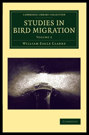 美国库房发货，通常付款后5-8周到货！