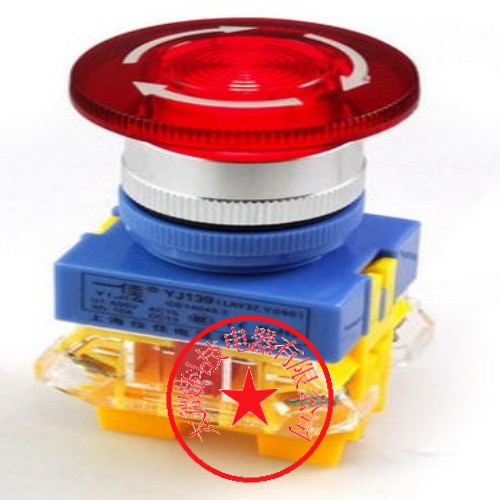 正品一佳带灯蘑菇急停开关LAY37-11ZSD电源开关自锁急停开关22mm