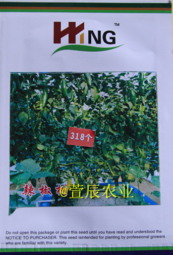 辣椒树种子进口多年生辣椒树种子一株结果达1000多个观赏食用-封面