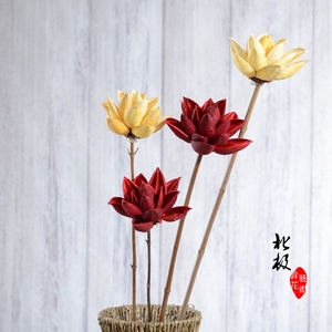 【莲花】紫荆花原生态家装摆设艺术干花荷花拍摄道具佛具荷花