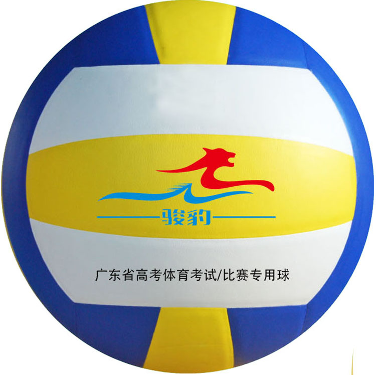 Ballon de volley - Ref 2008930 Image 1