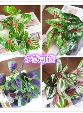 仿真紫苏红 植物墙把束 仿真小叶子 绿植墙装饰小植物 软装小把叶