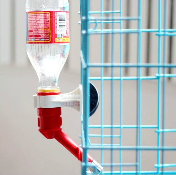 宠物饮水器头狗狗饮水器猫狗兔挂式饮水器滚珠喝水器饮水嘴|msdalam kategori haiwan peliharaan/makanan haiwan dan bekalan, Cat/anjing harian, minum/cerek/kepala - dari Buy2taobao.com untuk memberikan perkhidmatan ejen Taobao profesional membeli