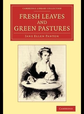 【预售】Fresh Leaves and Green Pastures