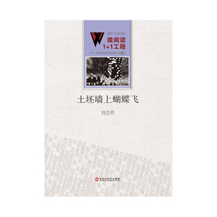 土坯墙上蝴蝶飞